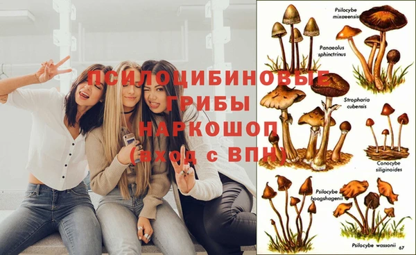 твердый Алексеевка