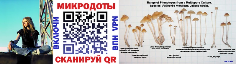 Псилоцибиновые грибы мицелий  купить закладку  Ишим 